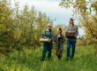Two bearded mustachioed farmer field workers go and tell a woman about harvesting her tablet. Apple orchard, agricultural business, smiles on faces, success at work. Workers in the apple garden.